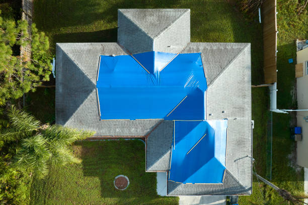 Best Roof Moss and Algae Removal  in University Of Lifornia Santa Barbara, CA