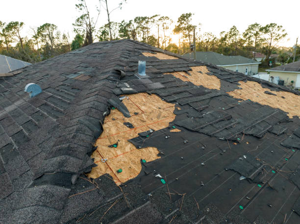 Professional Roofing Service in University Of California Santa Barbara, CA